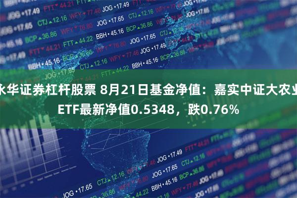 永华证券杠杆股票 8月21日基金净值：嘉实中证大农业ETF最新净值0.5348，跌0.76%